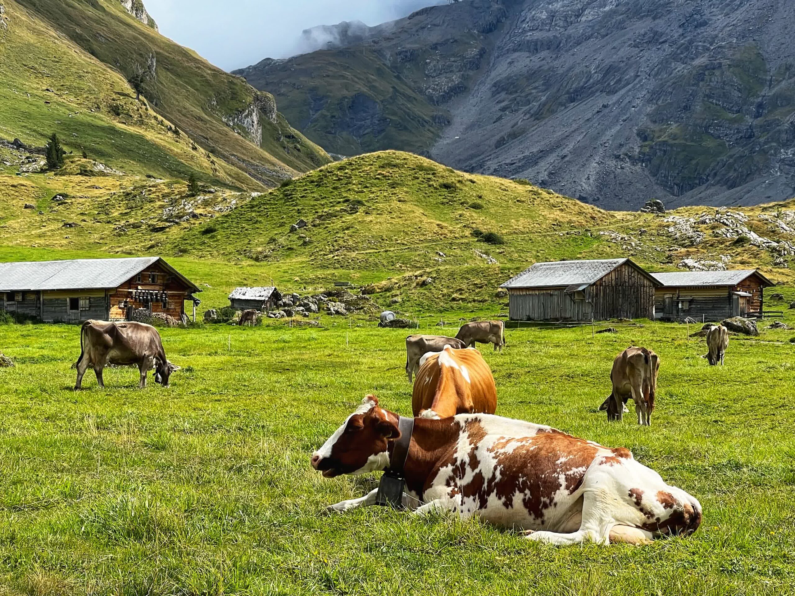 Vier-Seen-Wanderung ist ein Teil vom Tell-Trail