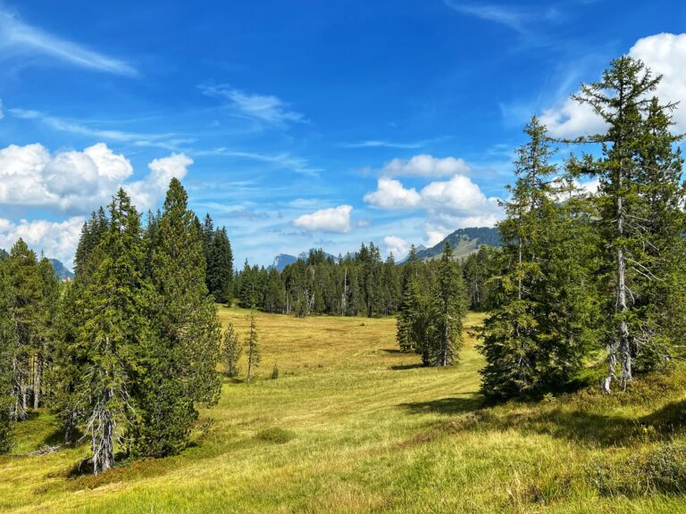 Nachhaltigkeit beim Wandern - unterwegs in den Schweizer Alpen
