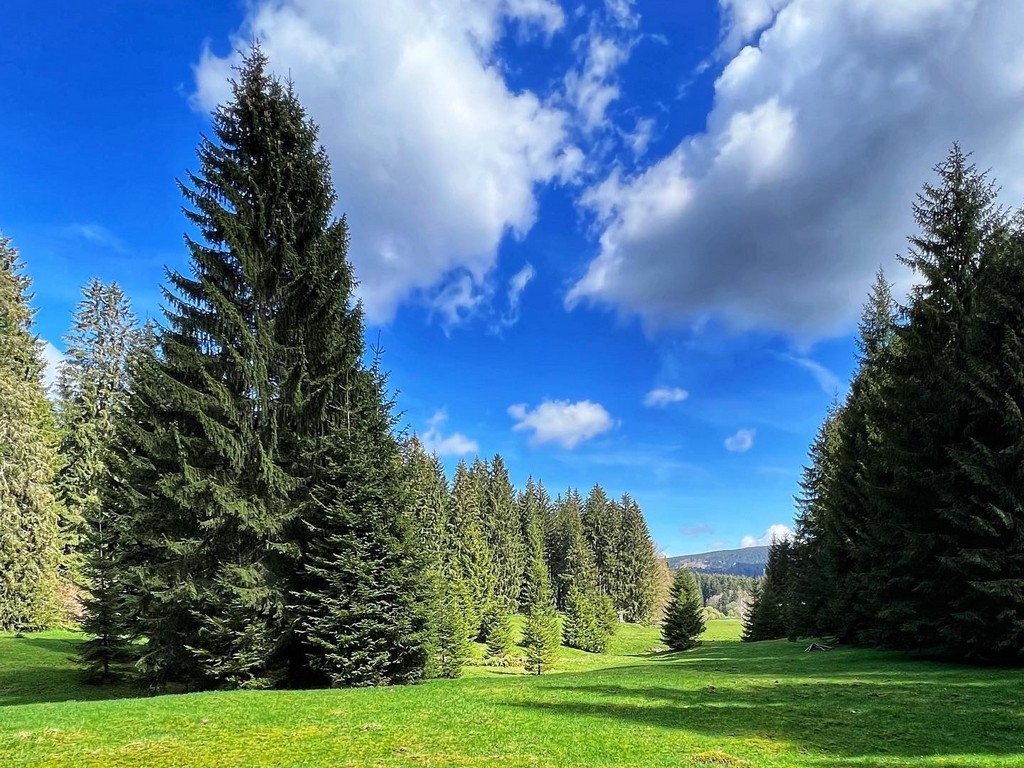 Blick ins Freibachtal 