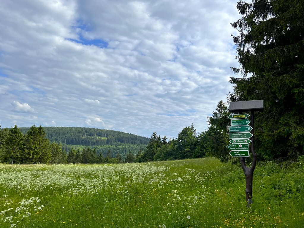 Blick auf Thüringer Wiese mit einem Wegweiser im rechten Bildrand - Touringen Stempel sammeln Thüringen 