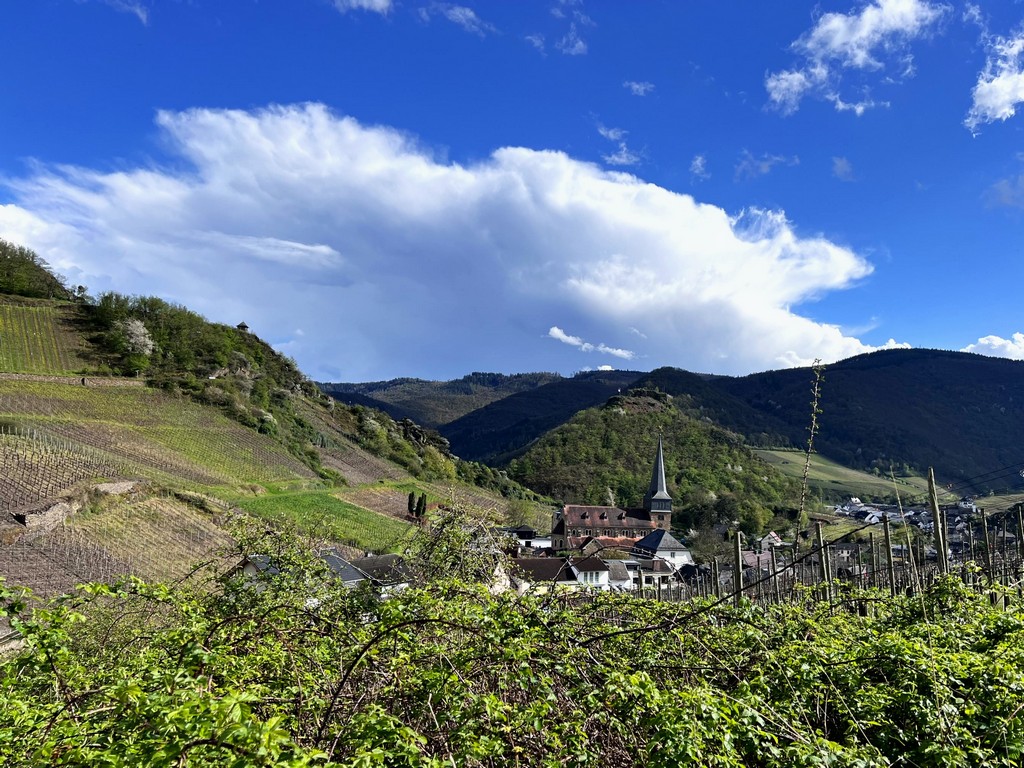 Blick auf Mayschoß im Ahrtal