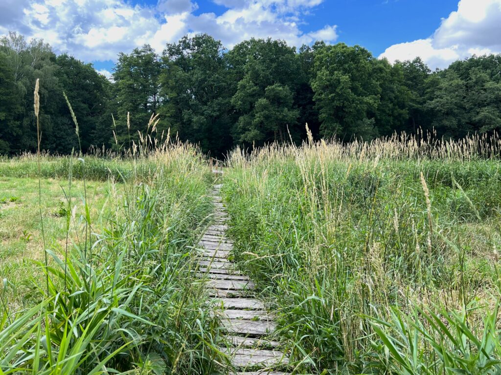 Titel Wandern für die Seele in und um Berlin