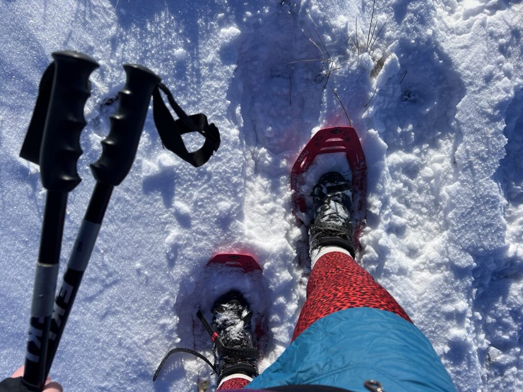 Schneeschuhe leihen bei den Globetrotter Winterwandertage