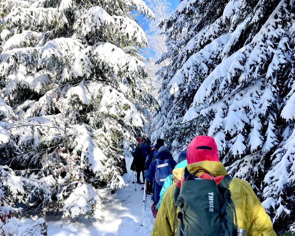 Schneeschuhtour durch den verschneiten Winterwald / Globetrotter Winterwandertage