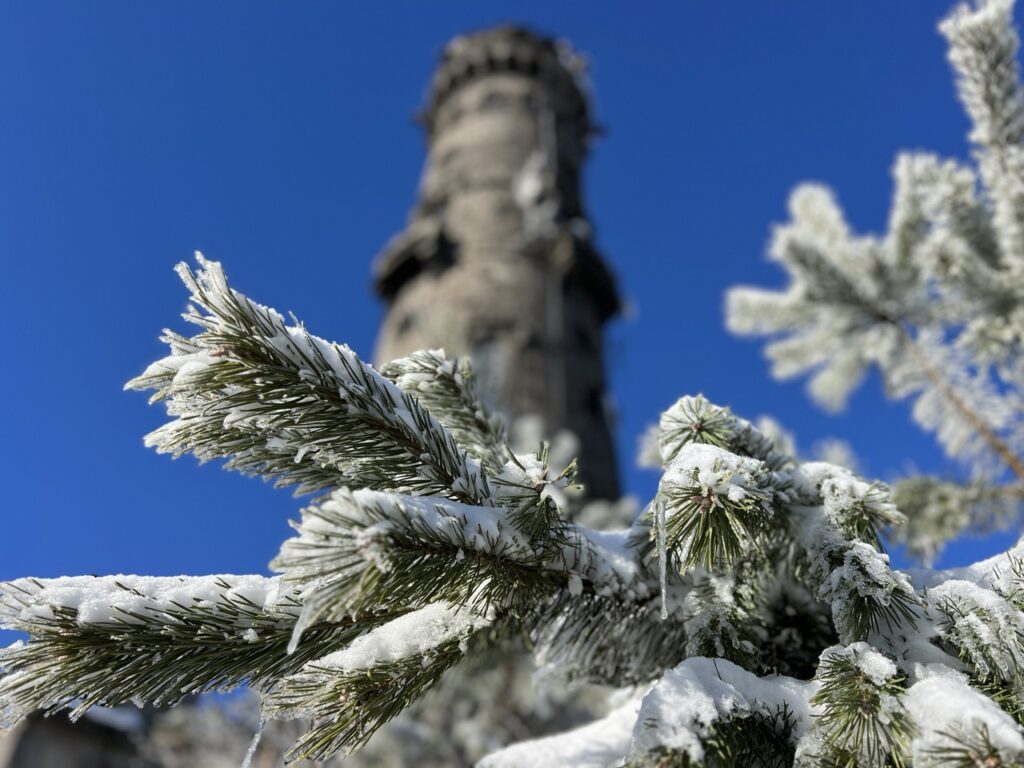 Der Aussichtsturm auf dem Hohen Schneeberg