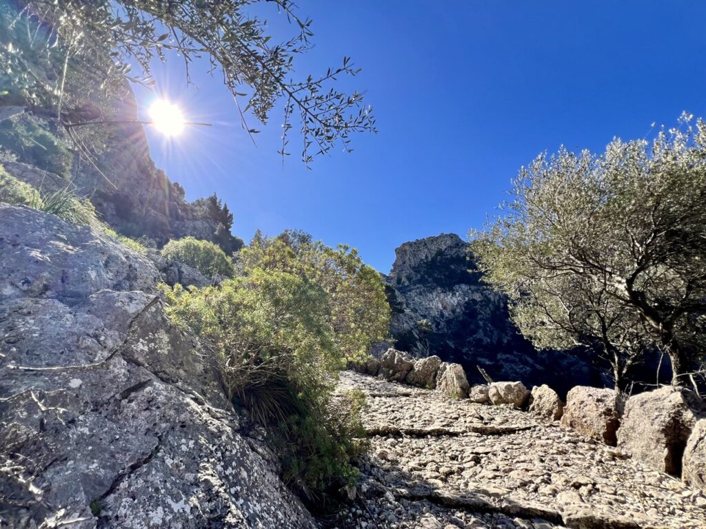 Groß (E9145810-B2B5-4A58-A7A8-6C34AE7BF347_1_201_a) Trockenmauerweg GR221 Mallorca