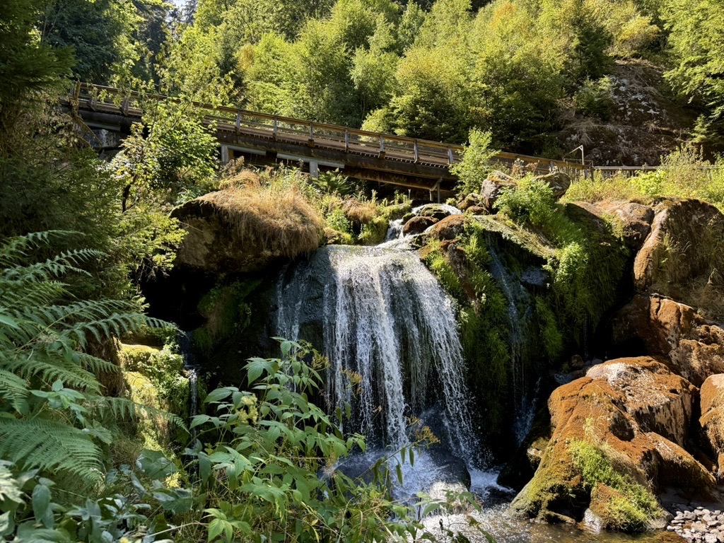 Triberger Wasserfälle WasserWeltenSteig Schwarzwald