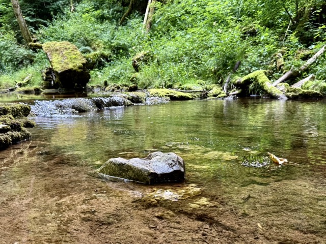 Gauchachschlucht im Schwarzwald