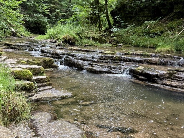 In der Gauchachschlucht