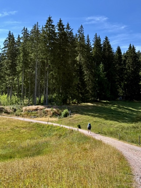 Schwarzwaldwiesen auf dem WasserWeltenSteig
