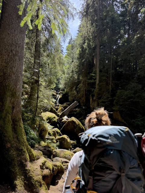 An den Triberger Wasserfällen