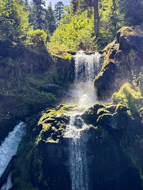 Triberger Wasserfälle WasserWeltenSteig