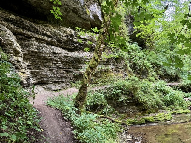 In der Gauchachschlucht auf dem WasserWeltenSteig