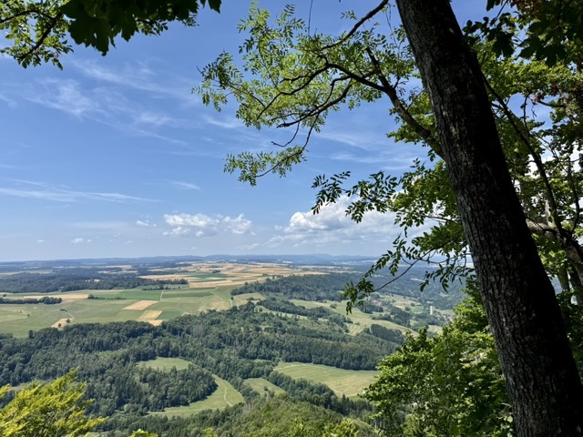 Blick vom Buchberg