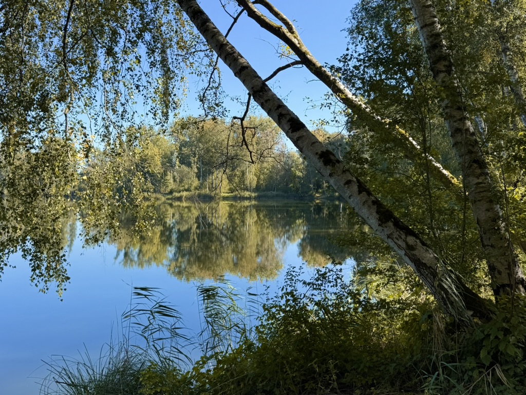 4632DDDA-7753-43C1-A9C6-19155AC569C7_1_105_c Herbststimmung an einem Weiher