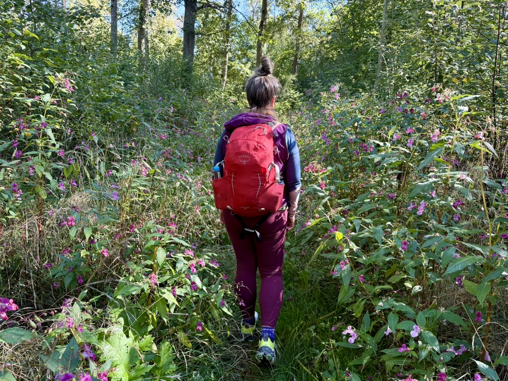 Titel DonAUwald-Wanderweg