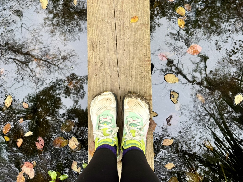 Schweden-Feeling auf dem DonAUwald-Wanderweg