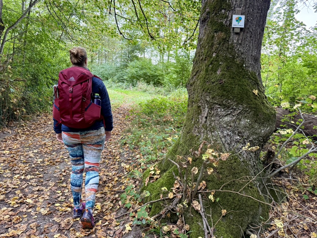 B8850249-0593-4243-9123-A6C849655FBB_1_105_c DonAUwald-Wanderweg Markierung