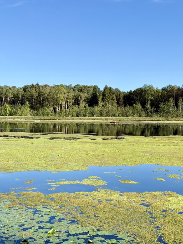 An der Donau Günzburg nach Gundelfingen