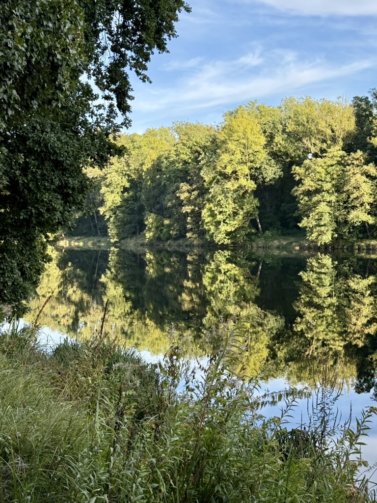 Entlang der Donau