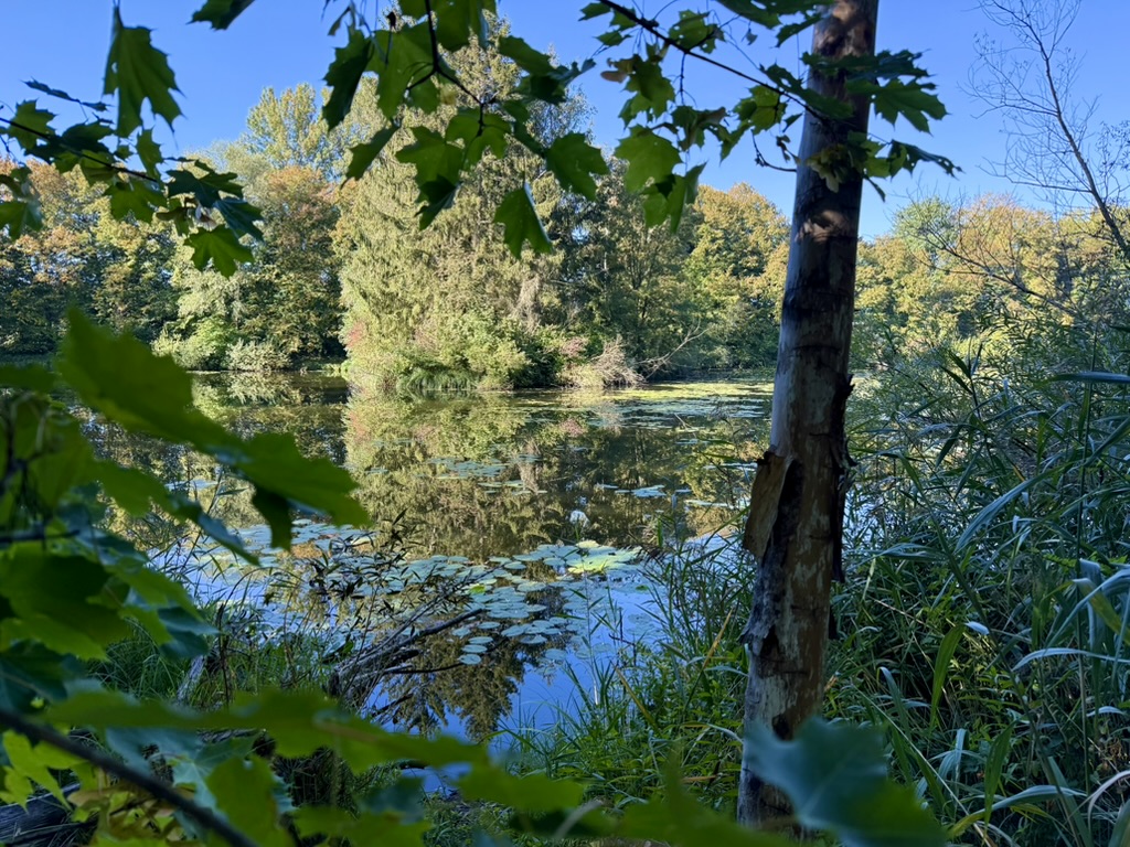 Herbstweiher