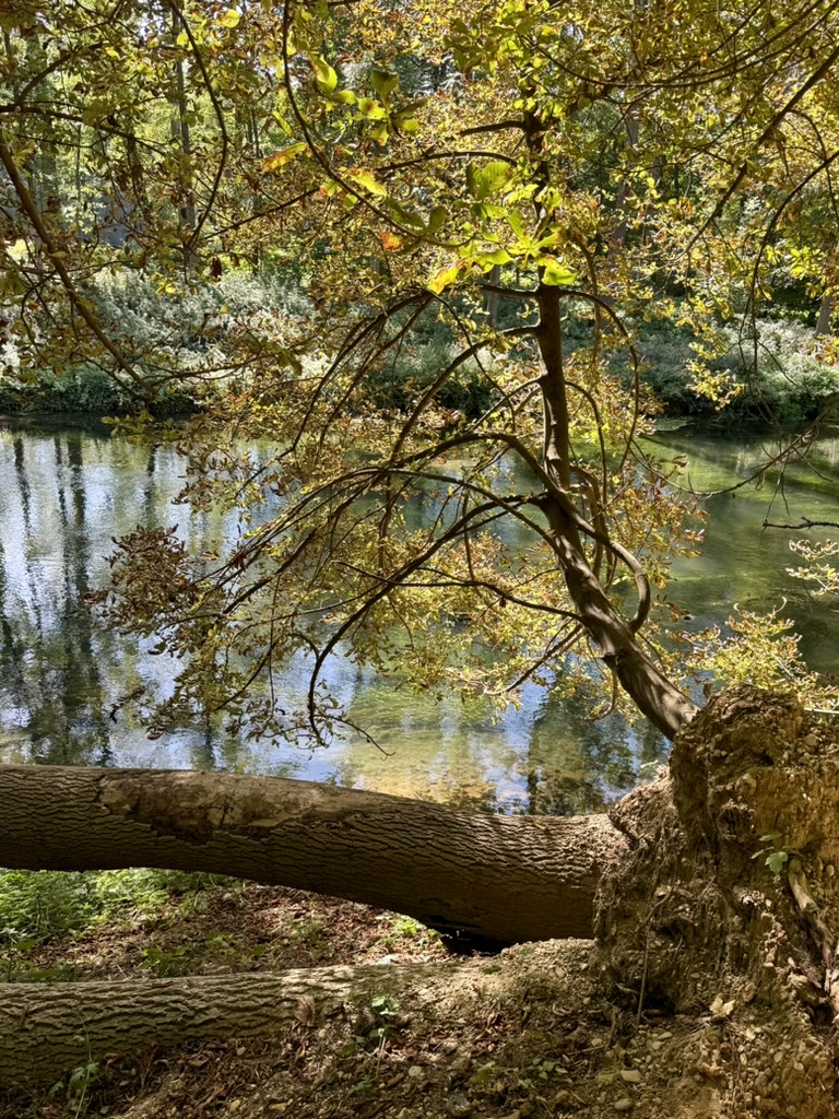 Herbst an der Brenz
