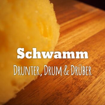 Schwammwäsche - Titel