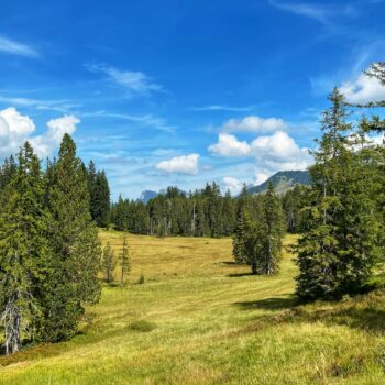 Nachhaltigkeit beim Wandern - unterwegs in den Schweizer Alpen