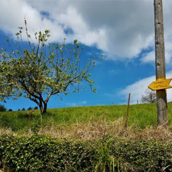 Wegweiser auf dem Camino Primitivo